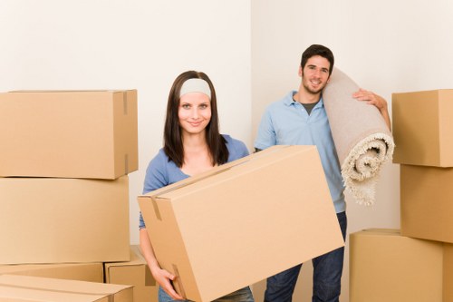 Driver helping with a small move in Finchley flat or maisonette